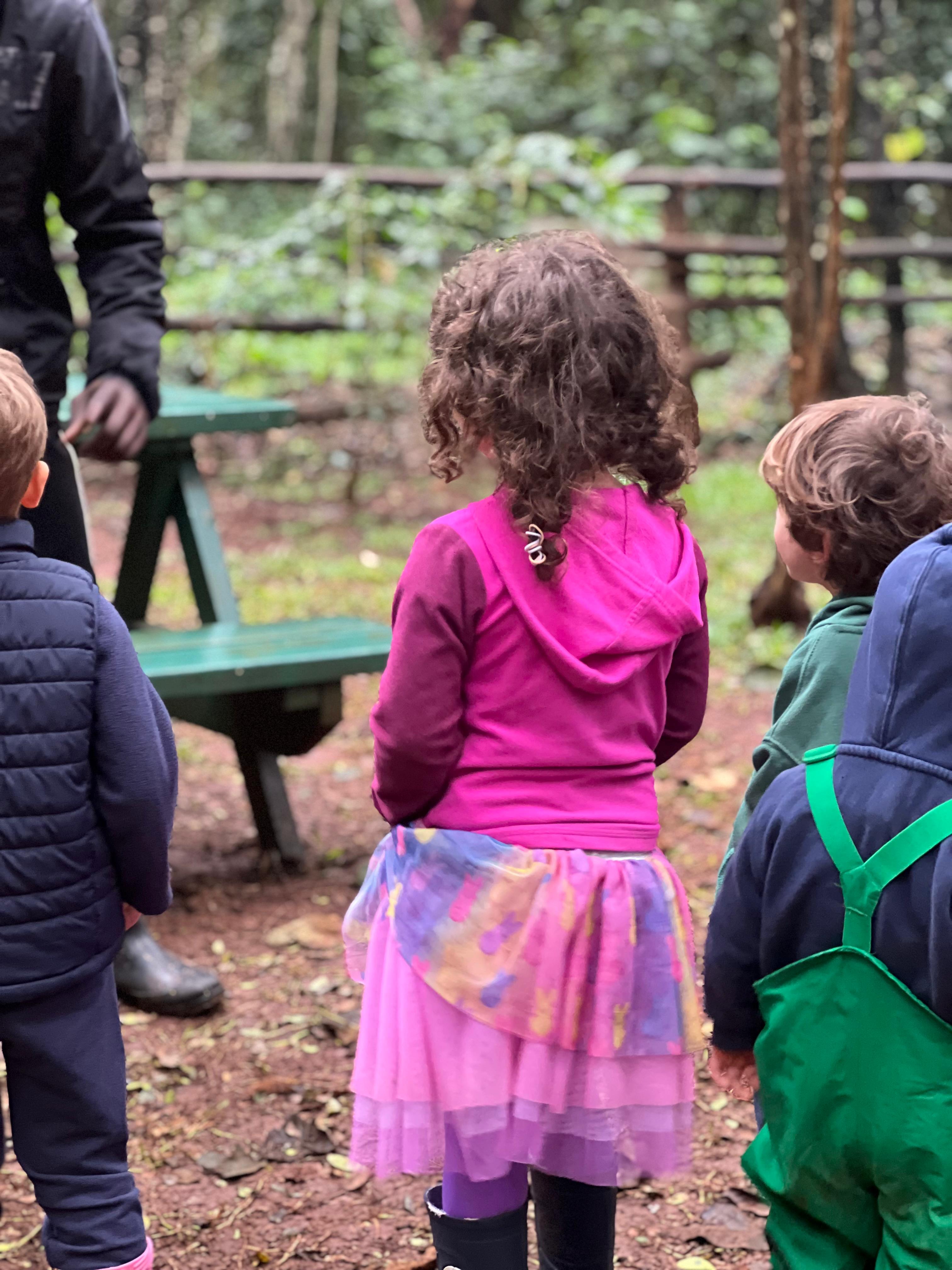 Little Forest Explorers