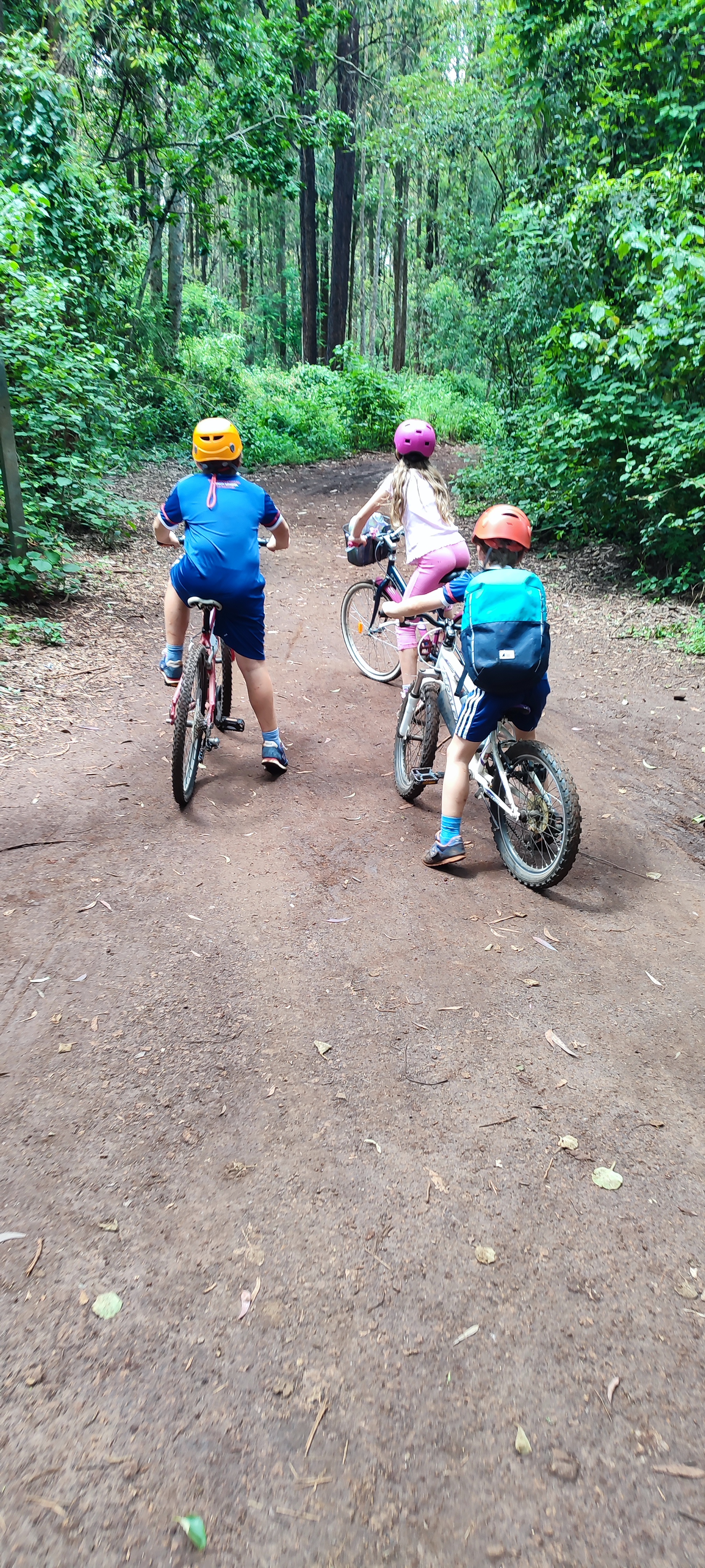 Mountain Biking