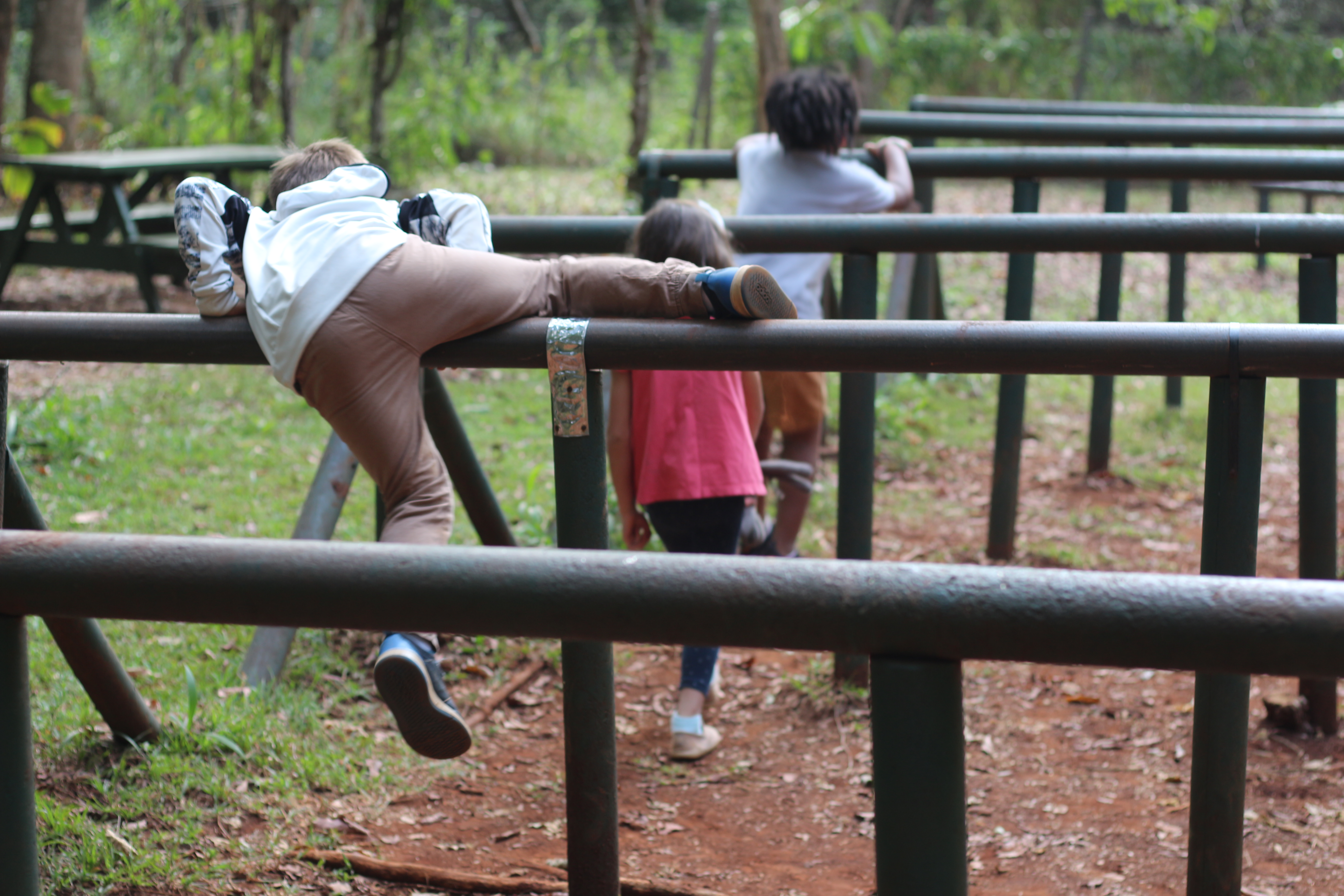 Obstacle Course