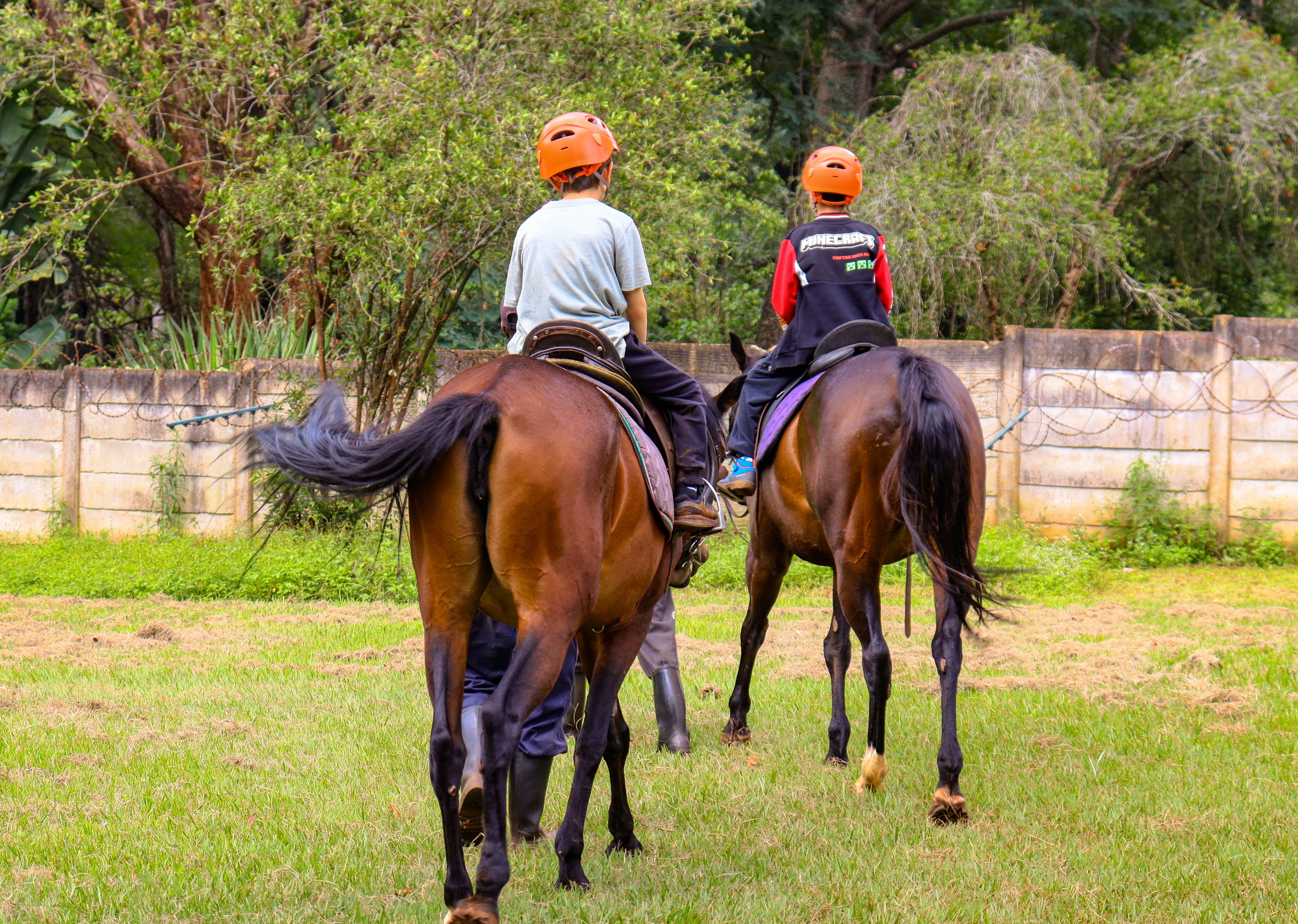 Horse Riding