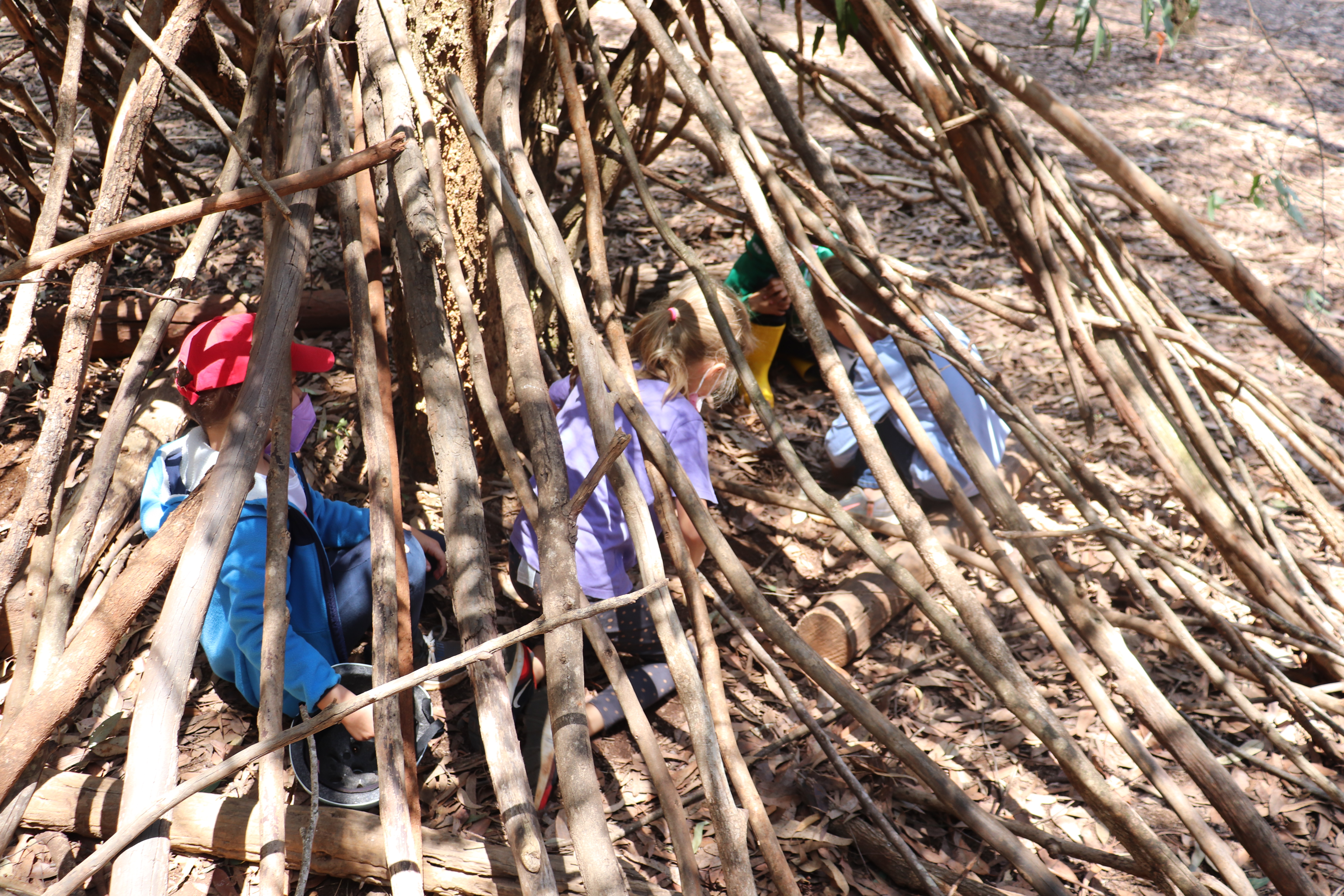 Bushcraft